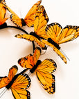 Monarch Butterfly Headband